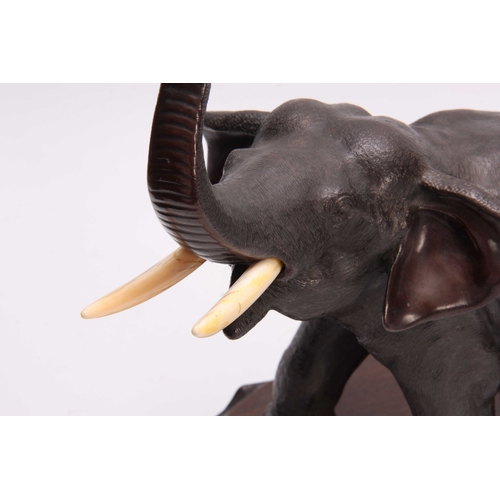 247 - A JAPANESE MEIJI PERIOD PATINATED BRONZE SCULPTURE modelled as an elephant with ivory tusks freestan... 