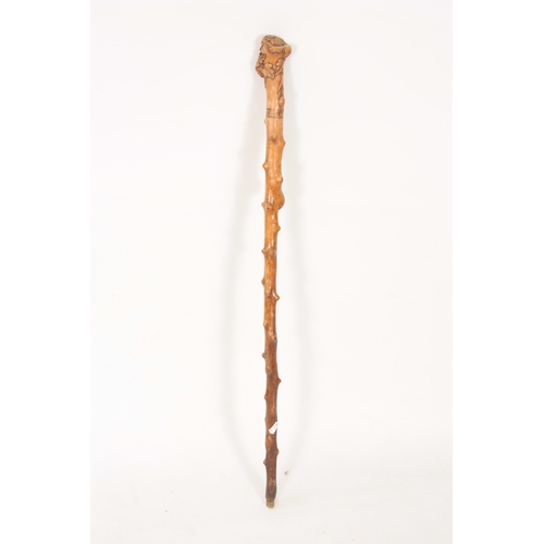 284 - A LATE 19TH CENTURY TAPERING KNOTCHED WALKING STICK with leaf and berry carved knop handle 90cm over... 