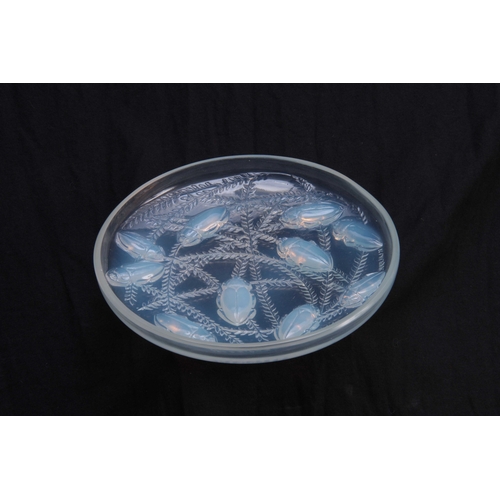 30 - R LALIQUE AN EARLY 20TH CENTURY OPALESCENT SHALLOW BOWL AND COVER 'CLEONES' of SCARABEES the undersi... 