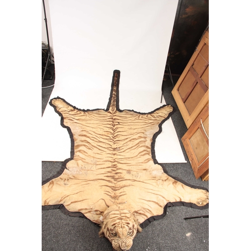 311 - AN EARLY 20th CENTURY TAXIDERMY INDIAN TIGER SKIN with label on reverse for 