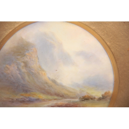 85 - A ROYAL WORCESTER PAINTED PORCELAIN PLAQUE, BY JOHN STINTON the convex circular plaque painted with ... 