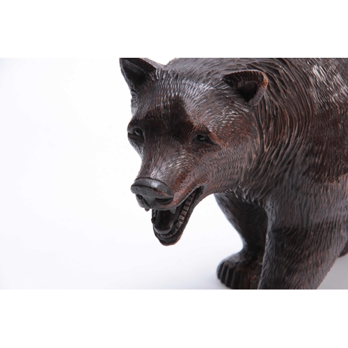 374 - A LATE 19TH CENTURY SWISS BLACK FOREST CARVED BEAR with glass eyes 46cm wide.