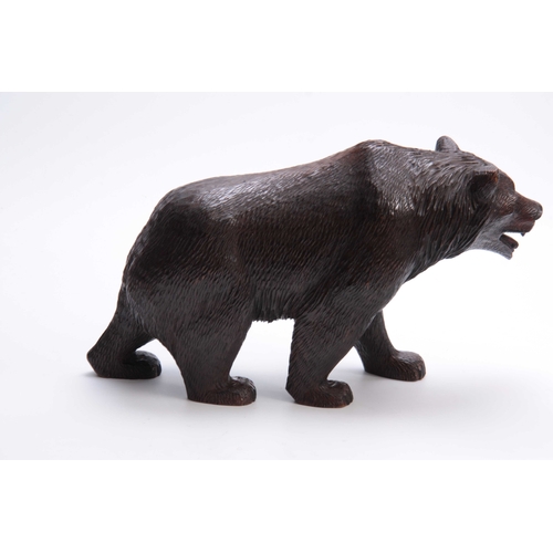 374 - A LATE 19TH CENTURY SWISS BLACK FOREST CARVED BEAR with glass eyes 46cm wide.