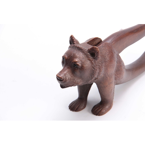 377 - AN UNUSUAL LATE 19TH CENTURY SWISS BLACK FOREST NUTCRACKER formed as a standing bear 22cm overall.