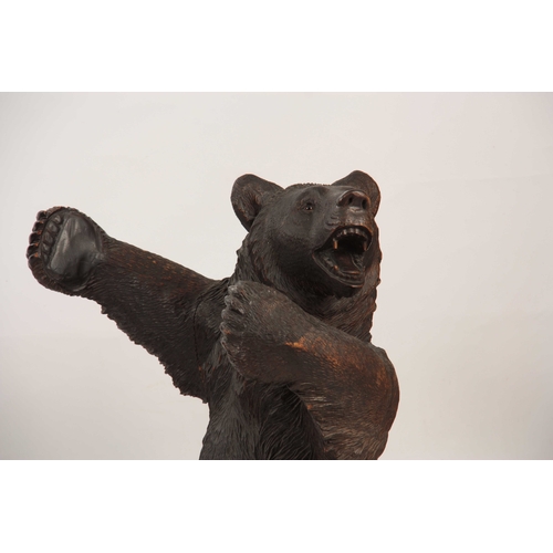 395 - AN INTERESTING PAIR OF LATE 19TH CENTURY SWISS CARVED BLACK FOREST STANDING BEARS with glass eyes 80... 