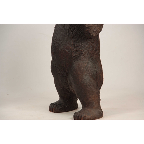 395 - AN INTERESTING PAIR OF LATE 19TH CENTURY SWISS CARVED BLACK FOREST STANDING BEARS with glass eyes 80... 