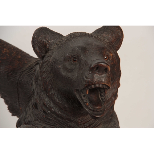 395 - AN INTERESTING PAIR OF LATE 19TH CENTURY SWISS CARVED BLACK FOREST STANDING BEARS with glass eyes 80... 