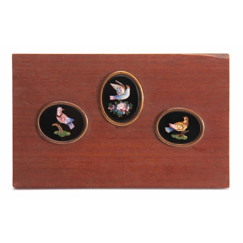 422 - A SET OF THREE 19TH CENTURY OVAL MICRO MOSAIC PANELS depicting brightly coloured birds mounted on a ... 