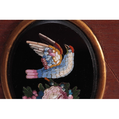 422 - A SET OF THREE 19TH CENTURY OVAL MICRO MOSAIC PANELS depicting brightly coloured birds mounted on a ... 