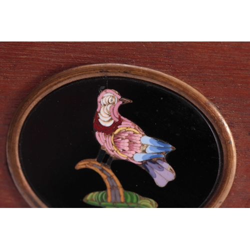 422 - A SET OF THREE 19TH CENTURY OVAL MICRO MOSAIC PANELS depicting brightly coloured birds mounted on a ... 