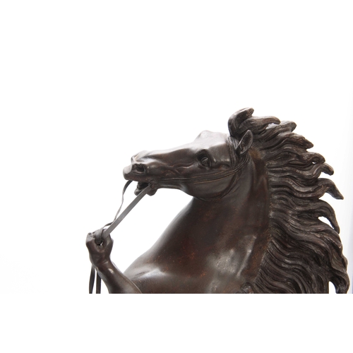 434 - A LARGE PAIR OF LATE 19th CENTURY FRENCH PATINATED BRONZE SCULPTURES modelled as Marley Horses on na... 