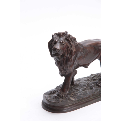 464 - A LATE 19TH CENTURY BRONZE SCULPTURE OF A LION mounted on a naturalistic base 30cm wide 21.5cm high.