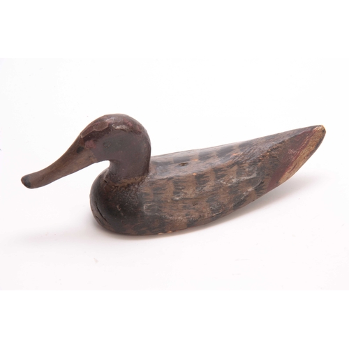 541 - A 19TH CENTURY POLYCHROME PAINTED DECOY DUCK 25cm wide.