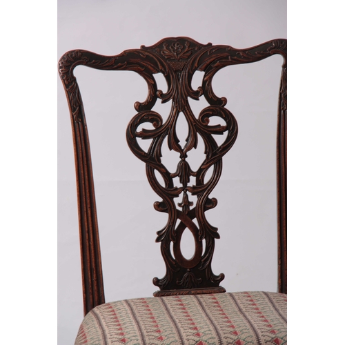 1028 - A PAIR OF GEORGE III CHIPPENDALE STYLE SIDE CHAIRS with elaborate pierced leaf carved backs, upholst... 