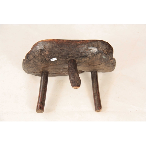 1036 - AN EARLY PRIMITIVE  WALNUT MILKING STOOL with dished seat, standing on three branch legs 41cm wide 2... 