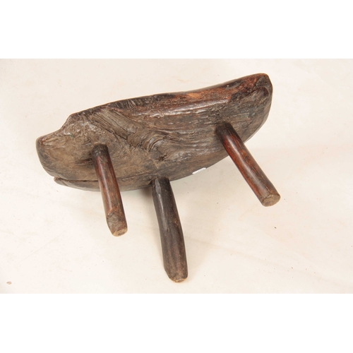 1036 - AN EARLY PRIMITIVE  WALNUT MILKING STOOL with dished seat, standing on three branch legs 41cm wide 2... 