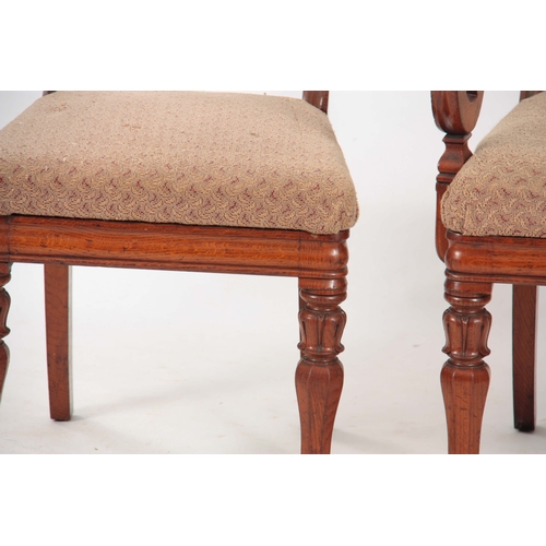 1095 - A GOOD SET OF EIGHT REGENCY POLLARD OAK SCOTTISH DINING CHAIRS with carved bar backs and turned leg ... 