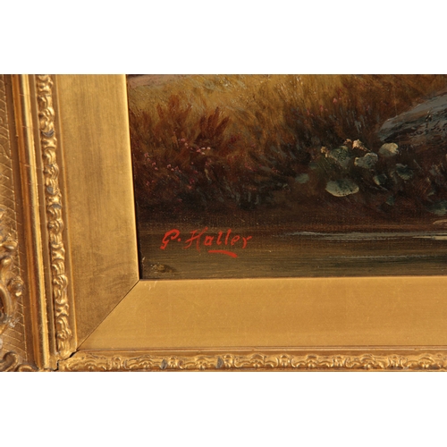 776 - GEORGE HALLER. A PAIR OF 19th CENTURY OILS ON CANVAS. Woodland scenes 50cm high, 29.5cm wide - signe... 