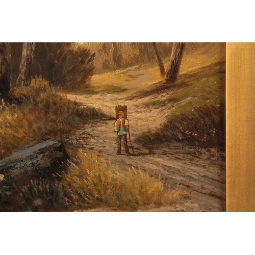 776 - GEORGE HALLER. A PAIR OF 19th CENTURY OILS ON CANVAS. Woodland scenes 50cm high, 29.5cm wide - signe... 