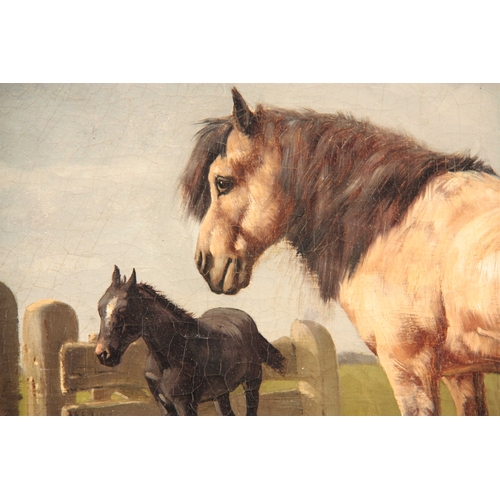 779 - L.M. WEBB. 19th CENTURY OIL ON CANVAS. Horse and fowl in a country setting 31cm high, 53cm wide - si... 