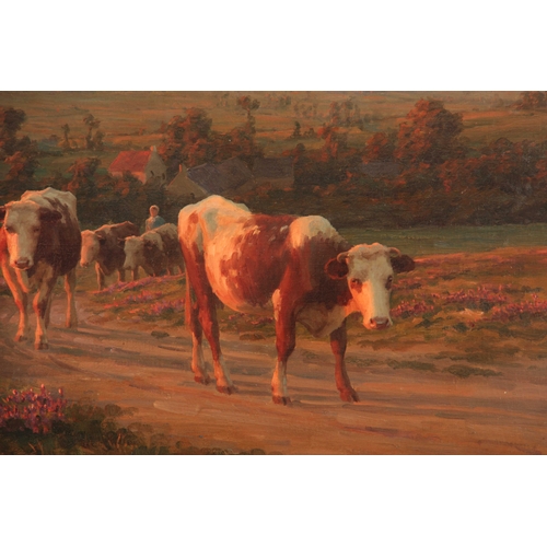 783 - FELIX PLANQUETTE. 1873 - 1964. OIL ON CANVAS. Cattle being led up a lane in a country coastal settin... 