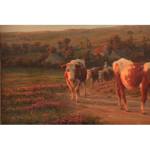 783 - FELIX PLANQUETTE. 1873 - 1964. OIL ON CANVAS. Cattle being led up a lane in a country coastal settin... 