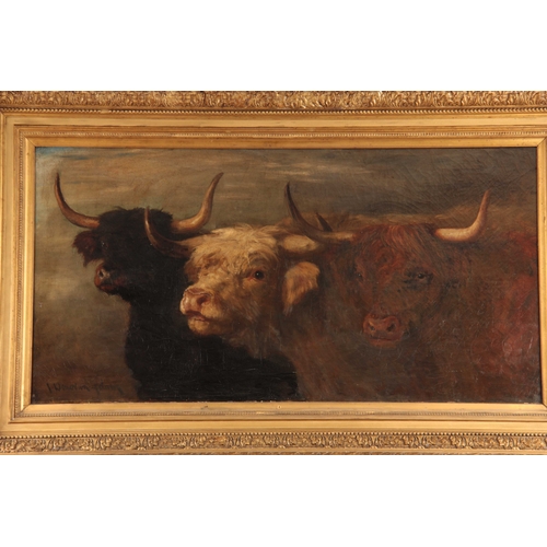 784 - JOSEPH DENOVAN ADAM d. 1916. LARGE OIL ON CANVAS. Three highland cattle, 64.4cm high, 126cm wide - s... 