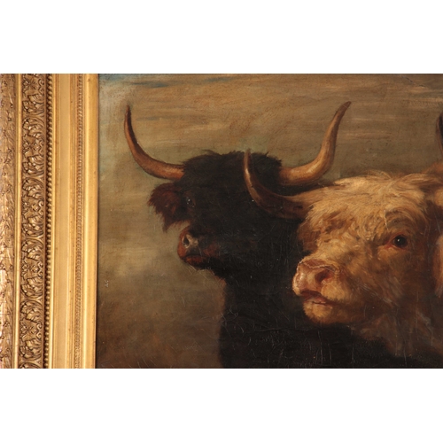 784 - JOSEPH DENOVAN ADAM d. 1916. LARGE OIL ON CANVAS. Three highland cattle, 64.4cm high, 126cm wide - s... 