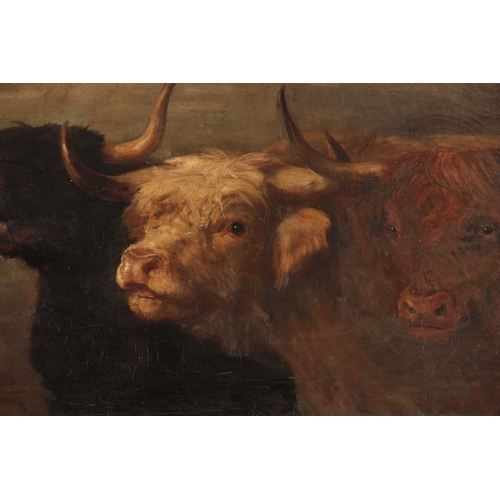 784 - JOSEPH DENOVAN ADAM d. 1916. LARGE OIL ON CANVAS. Three highland cattle, 64.4cm high, 126cm wide - s... 