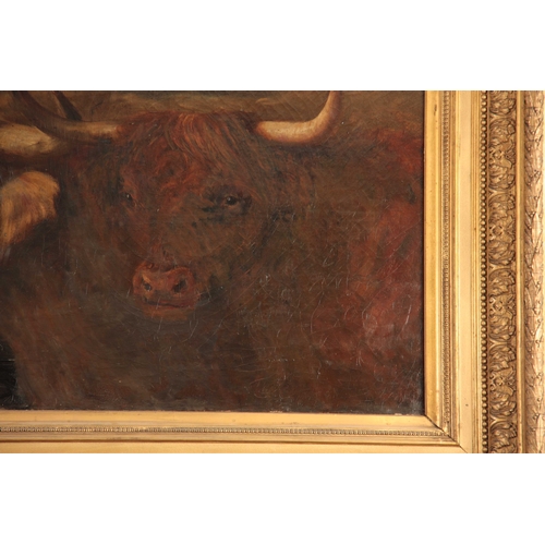 784 - JOSEPH DENOVAN ADAM d. 1916. LARGE OIL ON CANVAS. Three highland cattle, 64.4cm high, 126cm wide - s... 