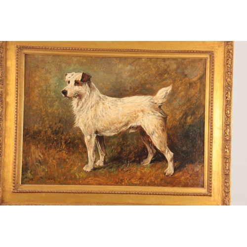 785 - JOHN EMMS (1844 - 1912) A LATE 19TH CENTURY OIL ON CANVAS depicting a wire-haired Jack Russel 45cm h... 