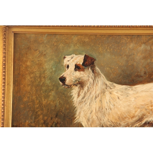 785 - JOHN EMMS (1844 - 1912) A LATE 19TH CENTURY OIL ON CANVAS depicting a wire-haired Jack Russel 45cm h... 