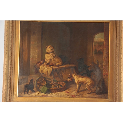 786 - A 19th CENTURY OIL ON CANVAS. Group of dogs in a barn setting. 58cm high, 67cm wide - indistinct sig... 