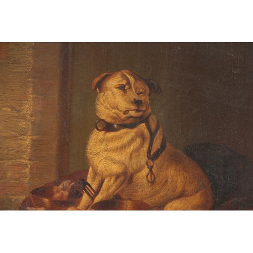 786 - A 19th CENTURY OIL ON CANVAS. Group of dogs in a barn setting. 58cm high, 67cm wide - indistinct sig... 