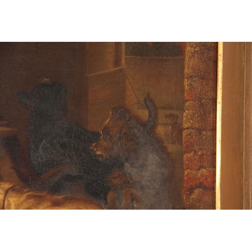 786 - A 19th CENTURY OIL ON CANVAS. Group of dogs in a barn setting. 58cm high, 67cm wide - indistinct sig... 