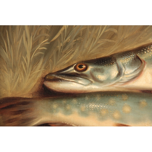 793 - J M CHILD (1804 - 1835) A 19TH CENTURY OIL ON CANVAS STILL LIFE OF FISH ON A RIVER BANK  - signed an... 