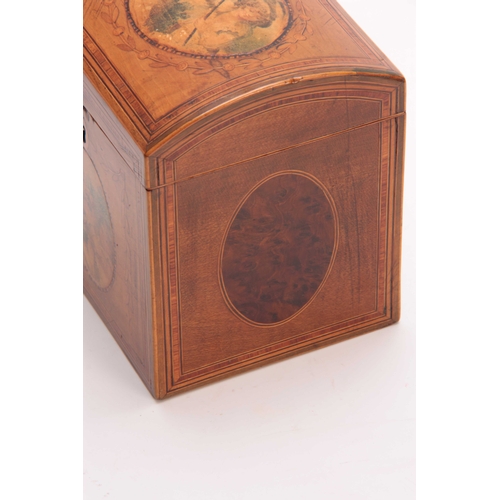 920 - A GEORGE III DOME TOPPED INLAID SATINWOOD TEA CADDY with oval panels having painted classical scenes... 