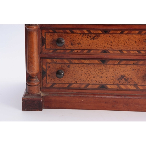 971 - A LATE 19TH CENTURY NEW ZEALAND / AUSTRALIAN HERRING-BANDED BURR VENEERED MINIATURE CHEST OF DRAWERS... 