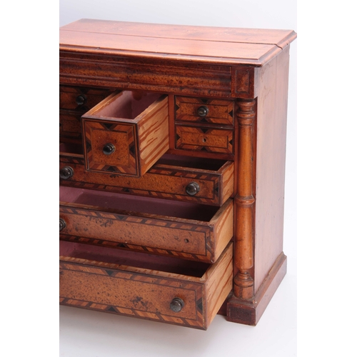 971 - A LATE 19TH CENTURY NEW ZEALAND / AUSTRALIAN HERRING-BANDED BURR VENEERED MINIATURE CHEST OF DRAWERS... 