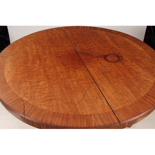 987 - A REGENCY PLUM PUDDING MAHOGANY CENTRE TABLE with wide cross-banded tilt top; standing on a ring tur... 