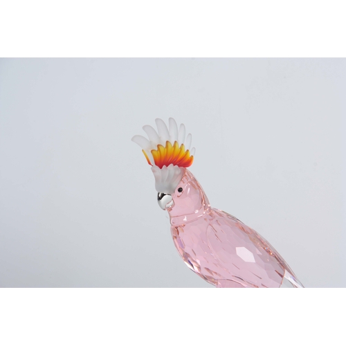 1 - A 20TH CENTURY SWAROVSKI CRYSTAL BIRDS OF PARADISE COLLECTION PINK COCKATOO 24cm high, boxed.