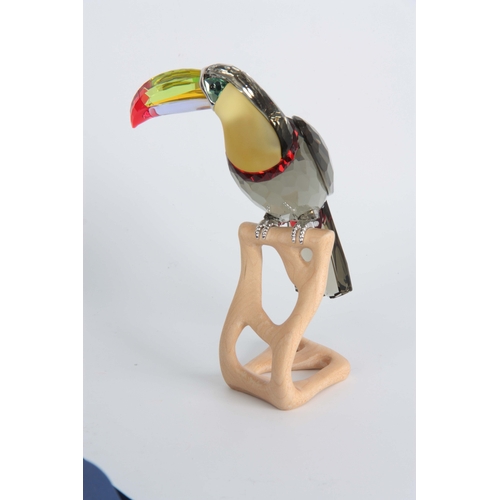 3 - A 20TH CENTURY SWAROVSKI CRYSTAL BIRDS OF PARADISE COLLECTION BLACK TOUCAN 20.5cm high, boxed.