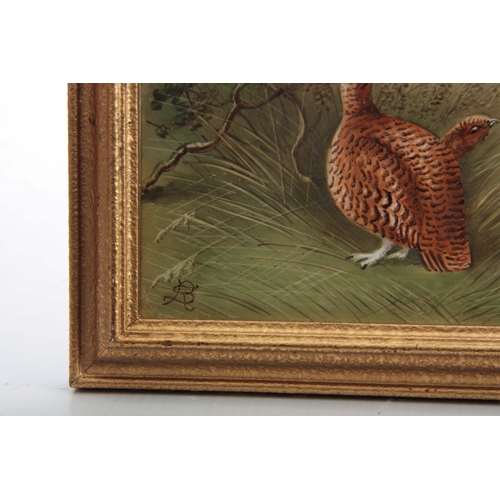 67 - AN EARLY 20TH CENTURY PORCELAIN PLAQUE depicting Grouse nesting, possibly Derby initialled in the bo... 