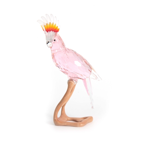 1 - A 20TH CENTURY SWAROVSKI CRYSTAL BIRDS OF PARADISE COLLECTION PINK COCKATOO 24cm high, boxed.