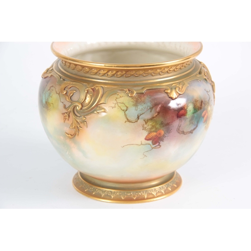 107 - A SIGNED ROYAL WORCESTER JARDINAIRE of ovoid shape with gilt foot, the body painted with peacocks in... 