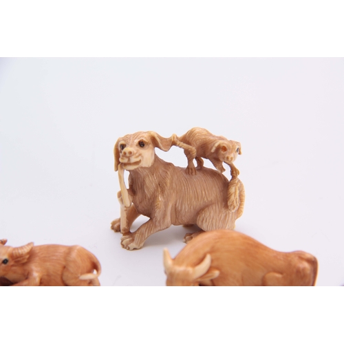 179 - A COLLECTION OF SEVEN EARLY 20TH CENTURY IVORY NETSUKE sculptured as various animals all with charac... 