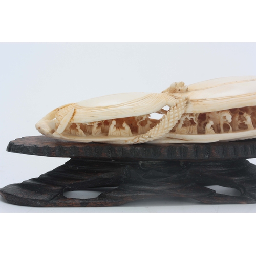 184 - A CHINESE CANTON IVORY SCULPTURE modelled as two mussel shells slightly opened revealing an intricat... 