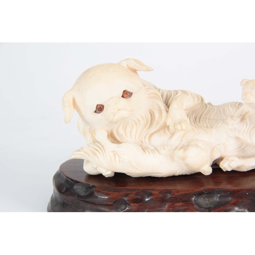 200 - A LATE 19TH / EARLY 20TH CENTURY CHINESE CARVED IVORY SCULPTURE depicting a reclining dog with two p... 