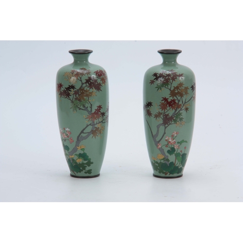 228 - A PAIR OF JAPANESE MEIJI PERIOD CLOISONNE ENAMEL VASES having mint green ground decorated with flowe... 