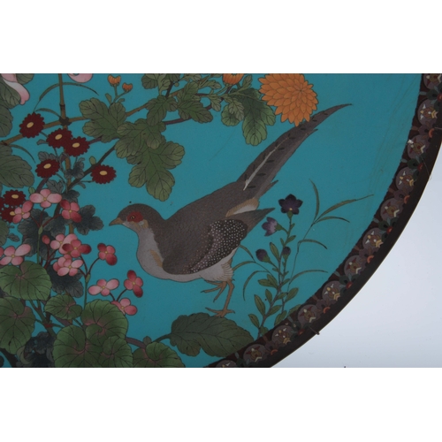 231 - A LARGE LATE 19th CENTURY JAPANESE CLOISONNE CHARGER having a blue ground with bird and butterfly on... 